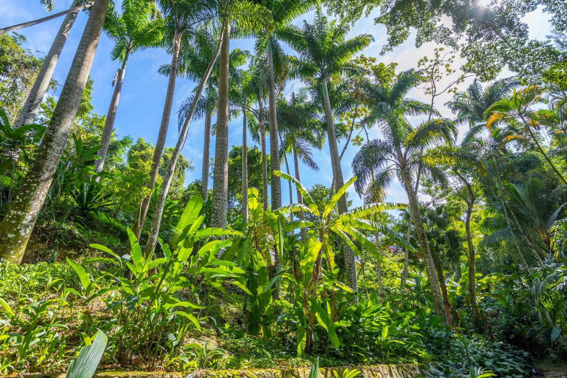 Cabanas Do Bosque Ilhabela Exterior foto